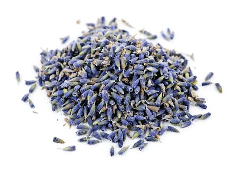 Natural Lavender Flavor