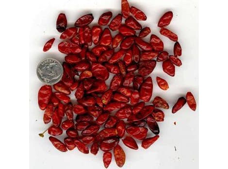 Dried Pequin Chili