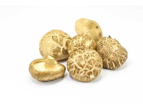 Dried Premium Shiitake Mushrooms