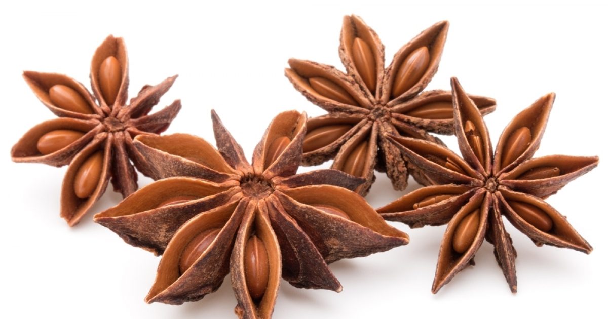 Star Anise | Sapna Foods