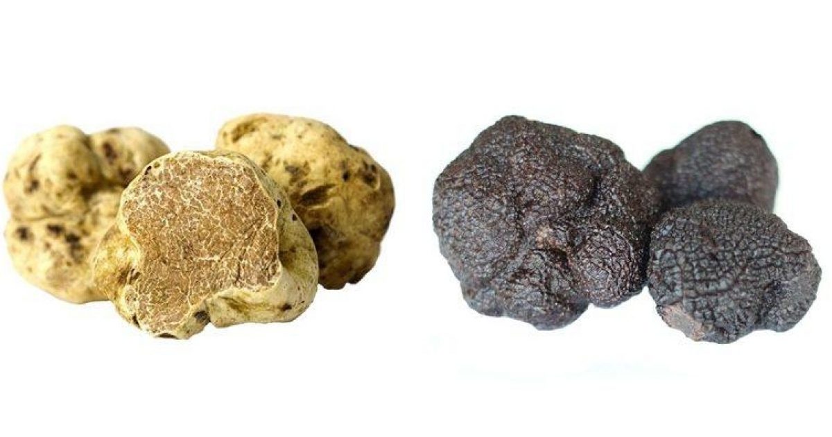 Products: Truffles and Truffle Products - Sapna Foods